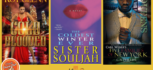 A graphic has an orange circle with a thumbs up that says "Check These Out," the library logo, and three book covers: "Cold Blooded," "The Coldest Winter Ever" and "Queens."