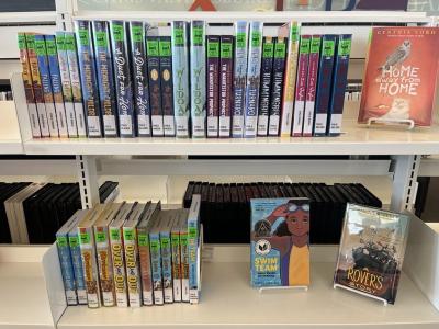 A shelf shows chapter books for children.