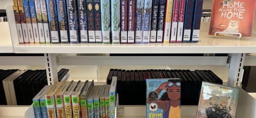 A shelf shows chapter books for children.